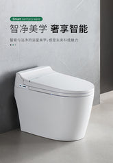 Smart Toilet-2209C